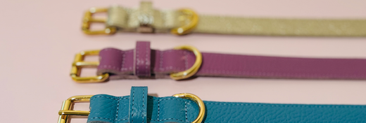 Onderhoudstips voor je lederen halsband