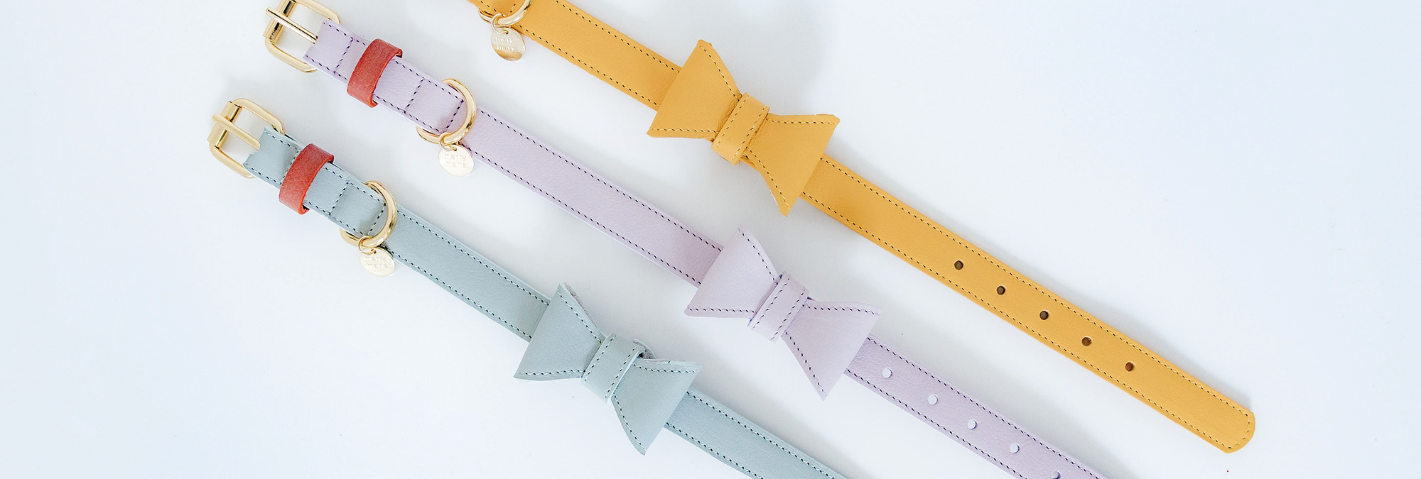 Een halsband met strikje: een stijlvol statement voor jouw hond