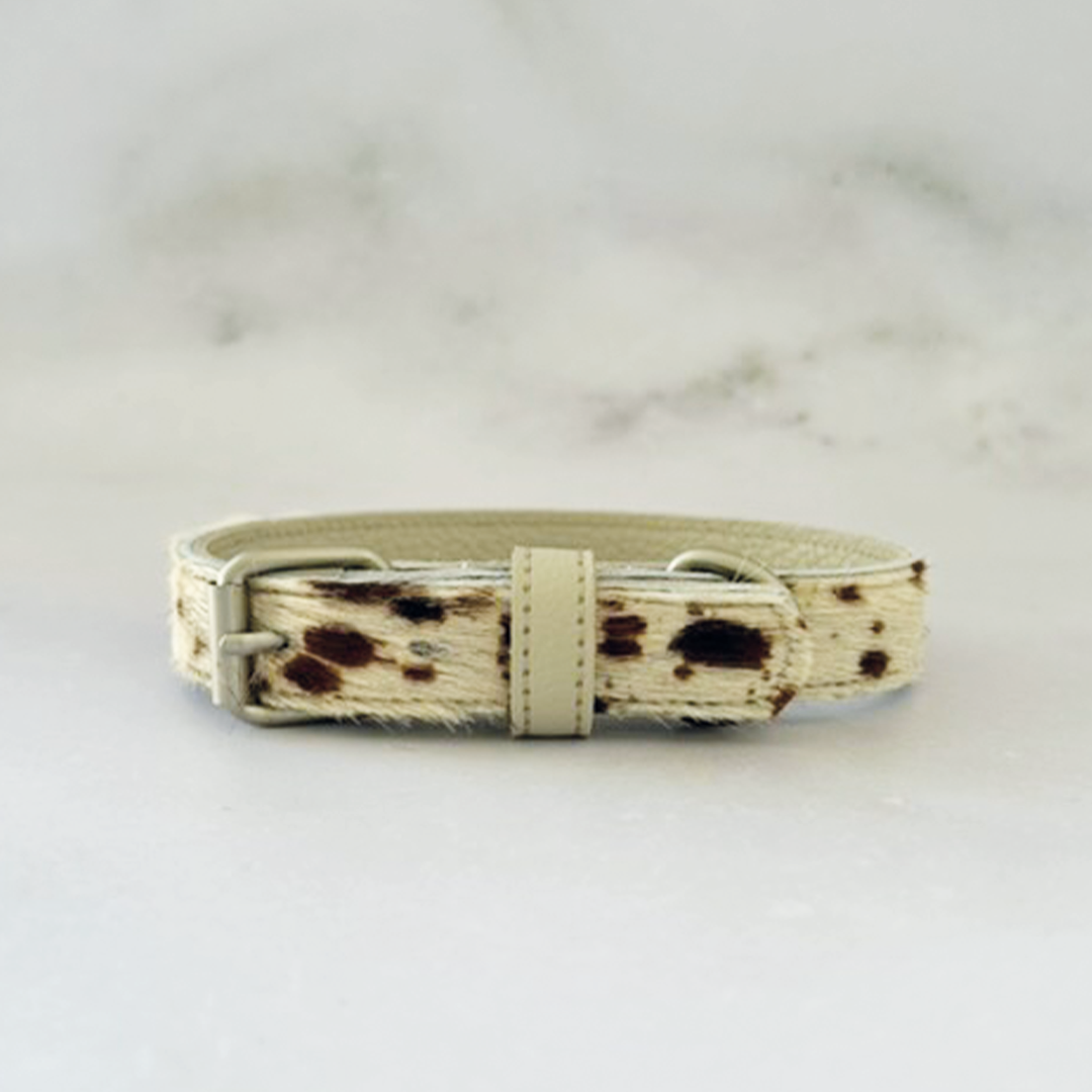 Cow Print Collar