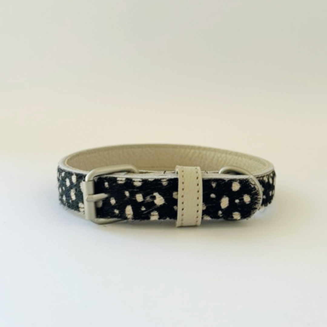 Dalmatian Print Collar