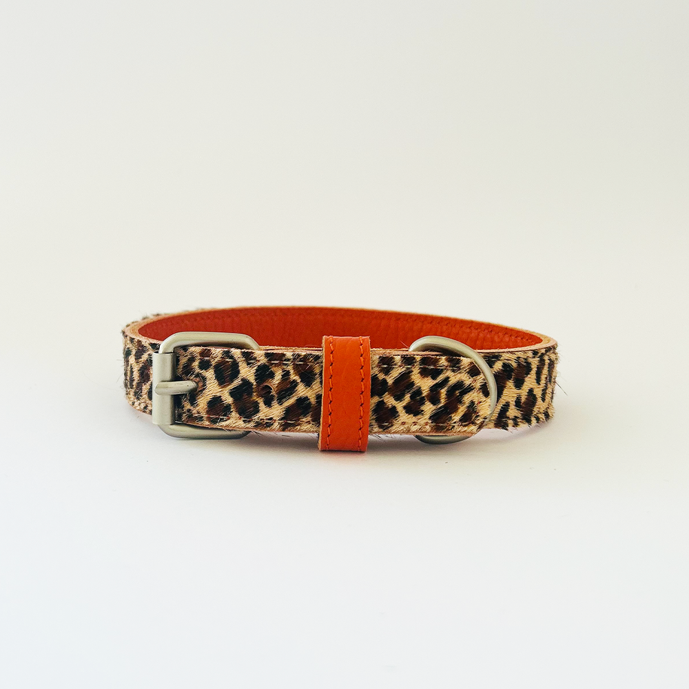 Leopard Collar