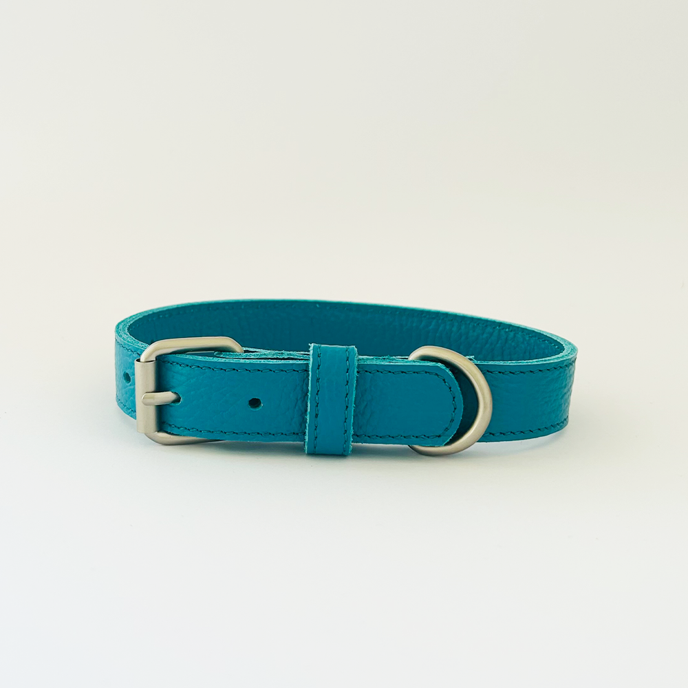 Teal Collar