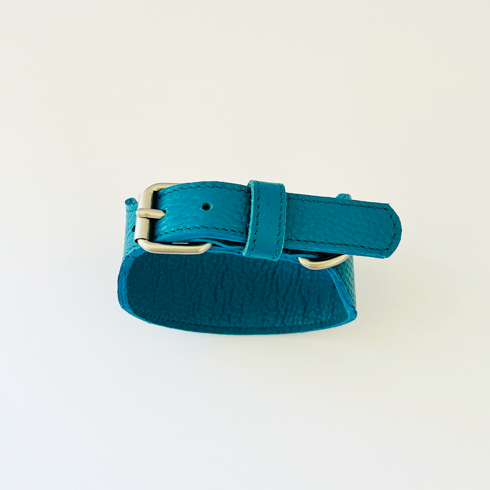 Teal Collar voor Windhonden